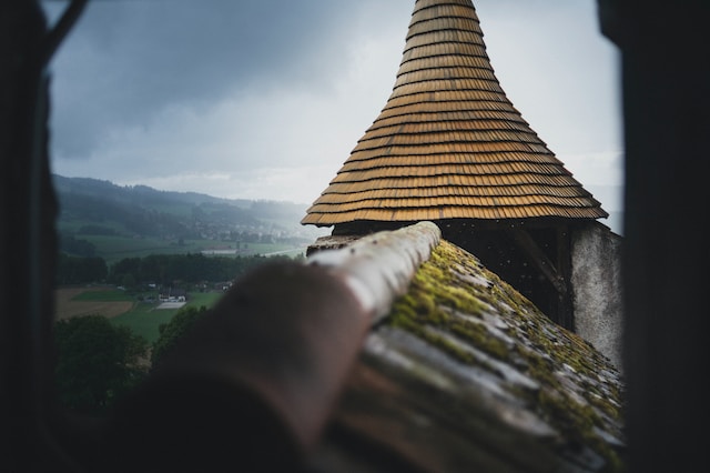 Pitched roof covered with moss