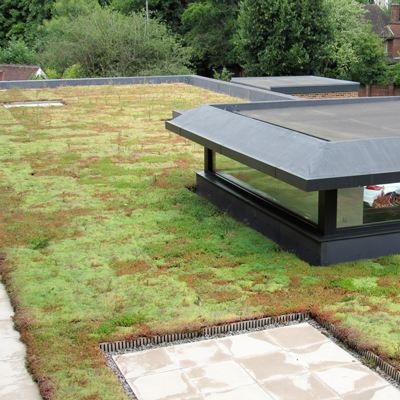 Wallbarn M-Tray modular green roof system