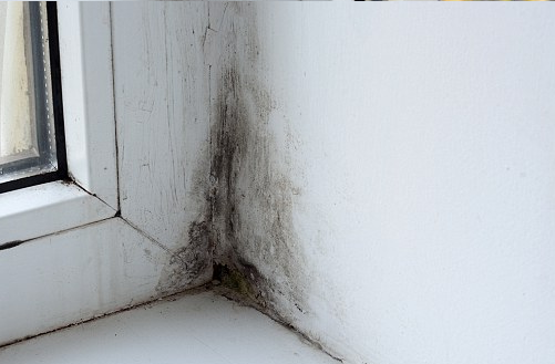mould spot near a (u)PVC window on a white wall