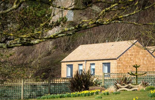 Cedar shingles on a roof