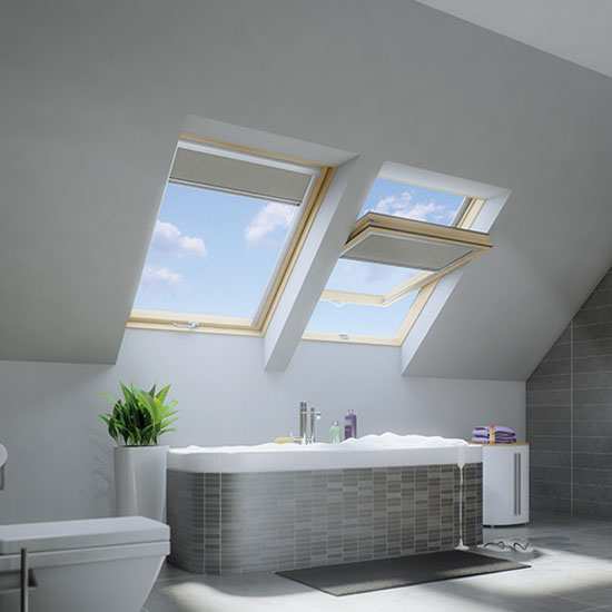 FAKRO Centre Pivot Roof Windows